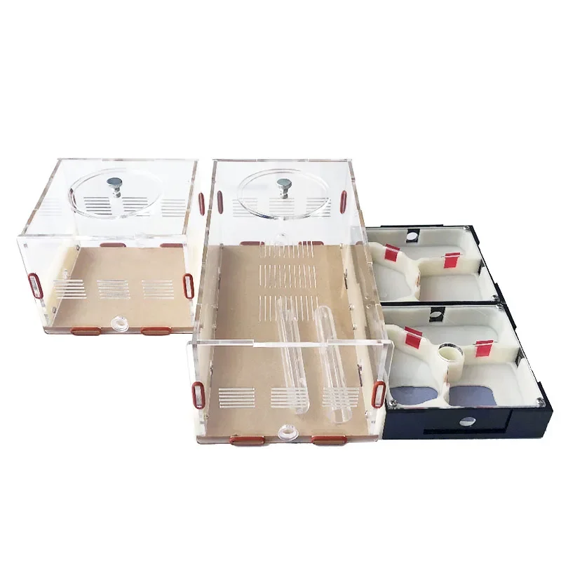 Nido de hormigas acrílico de granja de hormigas de expansión ilimitada con área de alimentación, taller de antill de yeso para mascotas, casa de hormigas, torre de agua hidratante - imagen 3