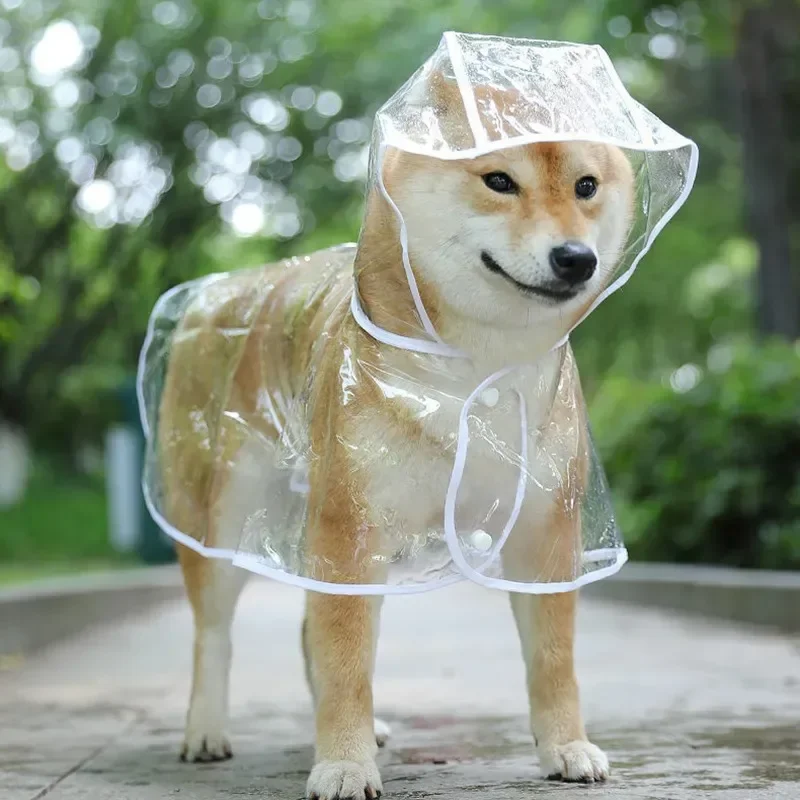 Ropa impermeable transparente cachorros perros capucha mascotas - Vista principal de la ropa
