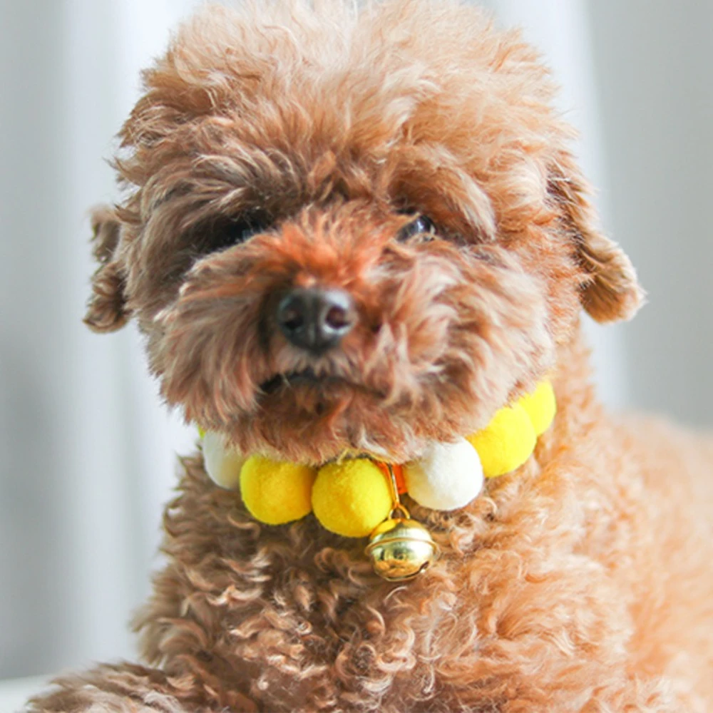 Collar antipérdida girasol con pompón y campana para gatos y perros