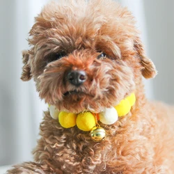 Collar antipérdida girasol con pompón y campana para gatos y perros