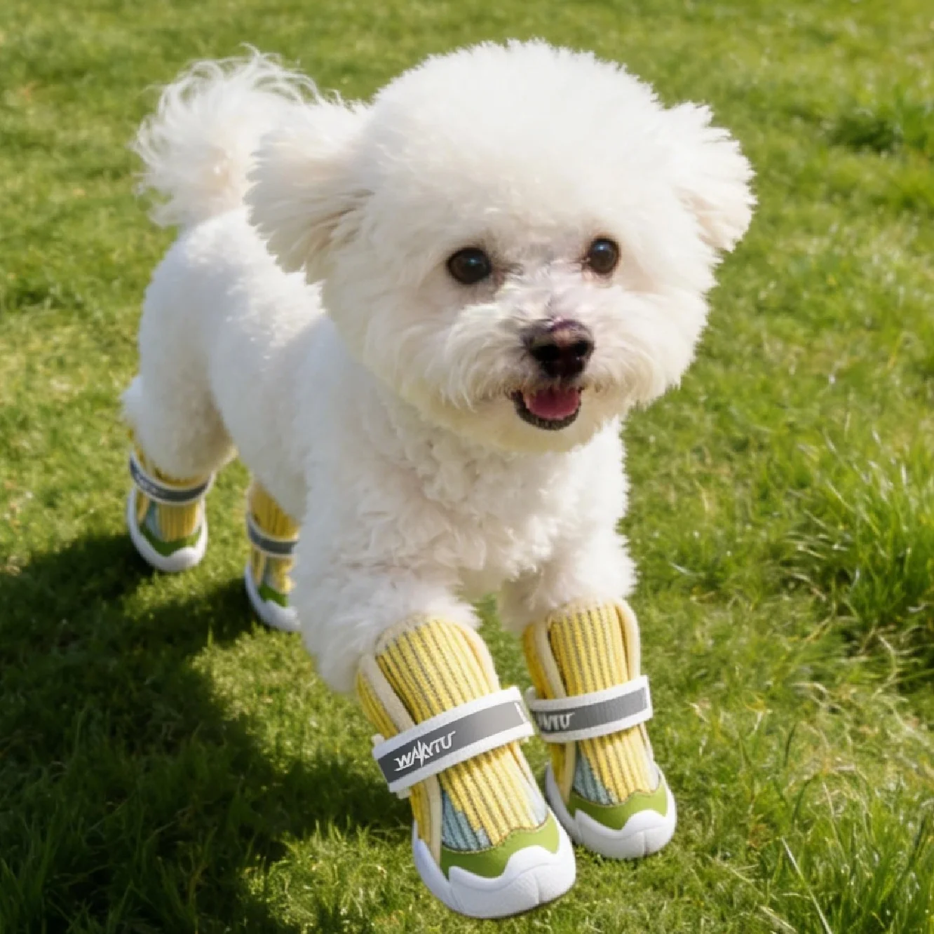 Zapatos perros pequeños – Transpirables, antideslizantes y reflectantes - imagen 2