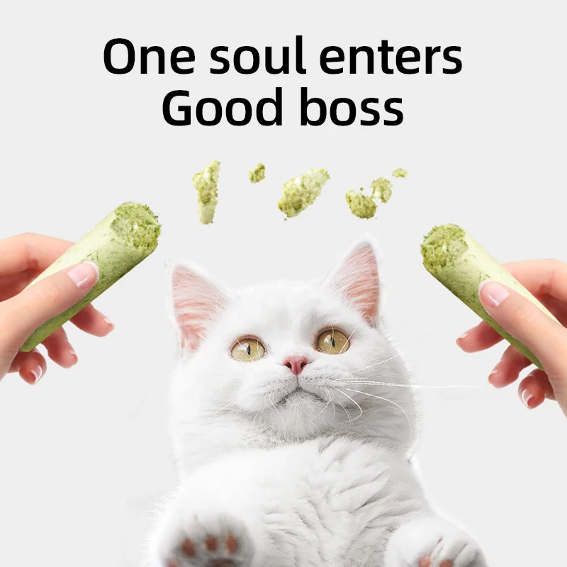 HOOPET-bocadillos nutritivos para gatos, hierba para gatos, molienda de dientes, liofilizado, depilación, Comida instantánea, limpieza de dientes, adultos y gatitos - imagen 2