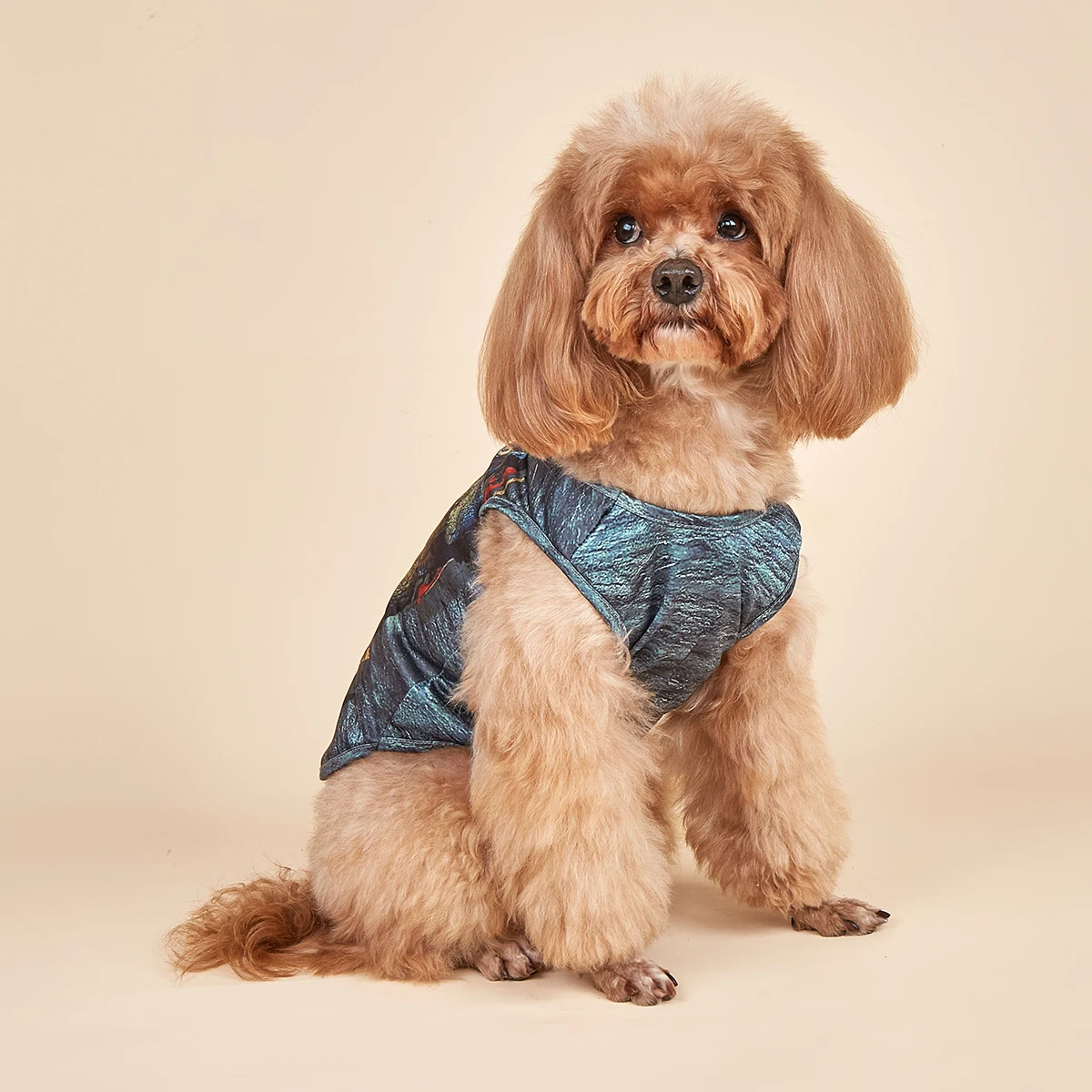 Camisas para perros impresas en 3D, chaleco estampado con patrón de dinosaurio fresco para perros pequeños, disfraz, pijamas para perros, regalo para cachorros, ropa para mascotas - imagen 2