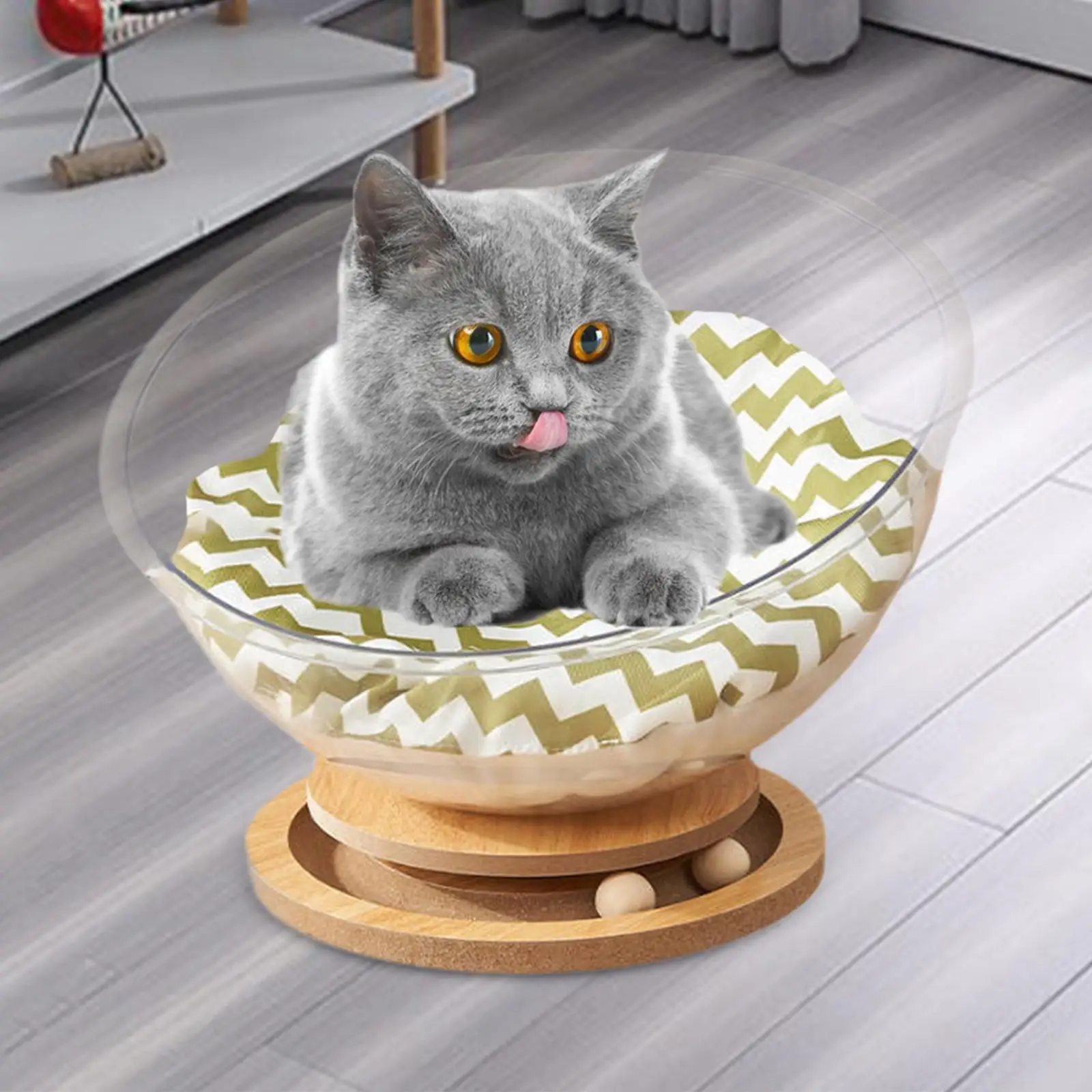 Space Capsule Cat Bed with Cushion Stable Four Season Easy to Clean Clear Cat Furniture Pet Bed Cat Nest for Cat Kitty Kitten