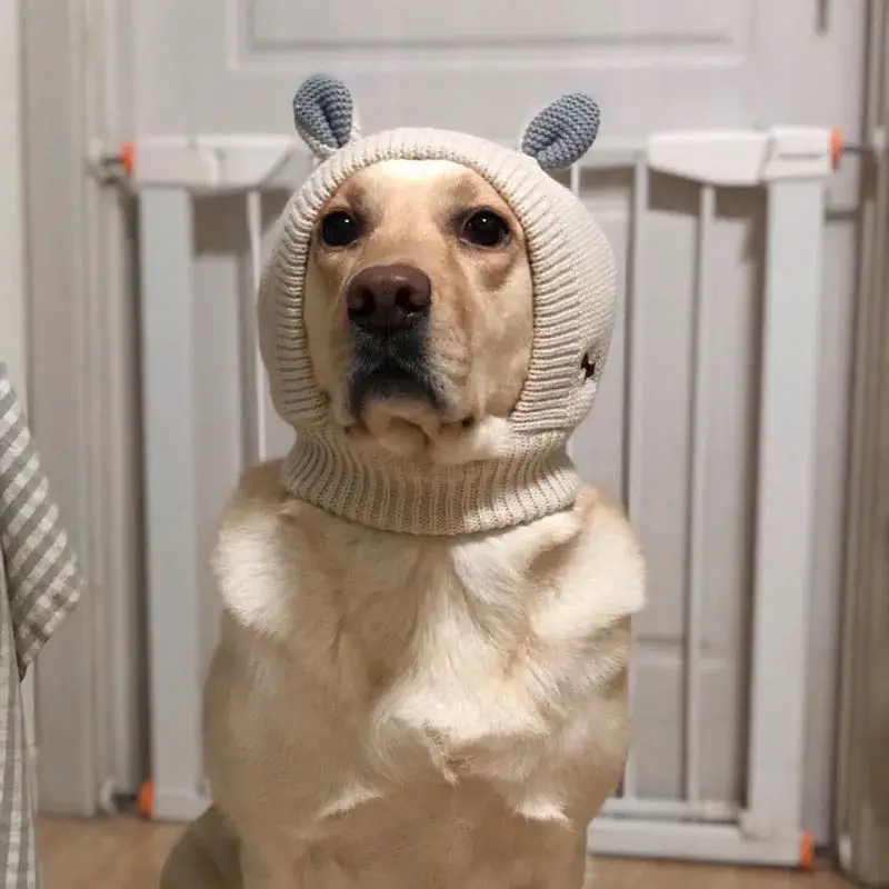 Gorro de punto grueso para mascotas, gorro cálido para perros medianos y grandes, accesorios para disfraces de Labrador, Invierno - imagen 3