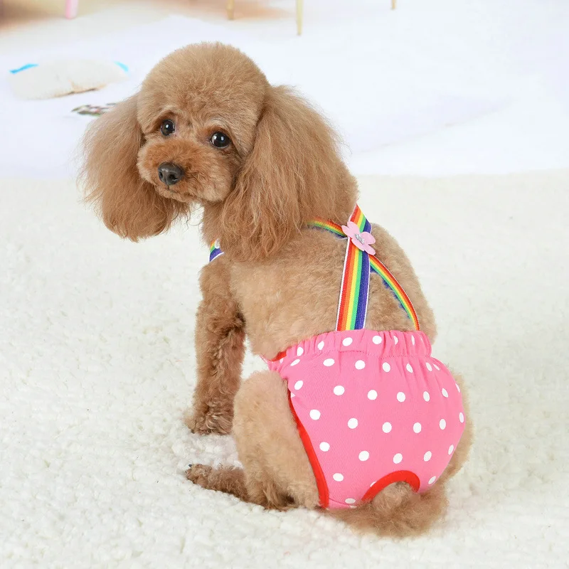 Pantalones fisiológicos para perros con correa - camiseta sin mangas - imagen 2