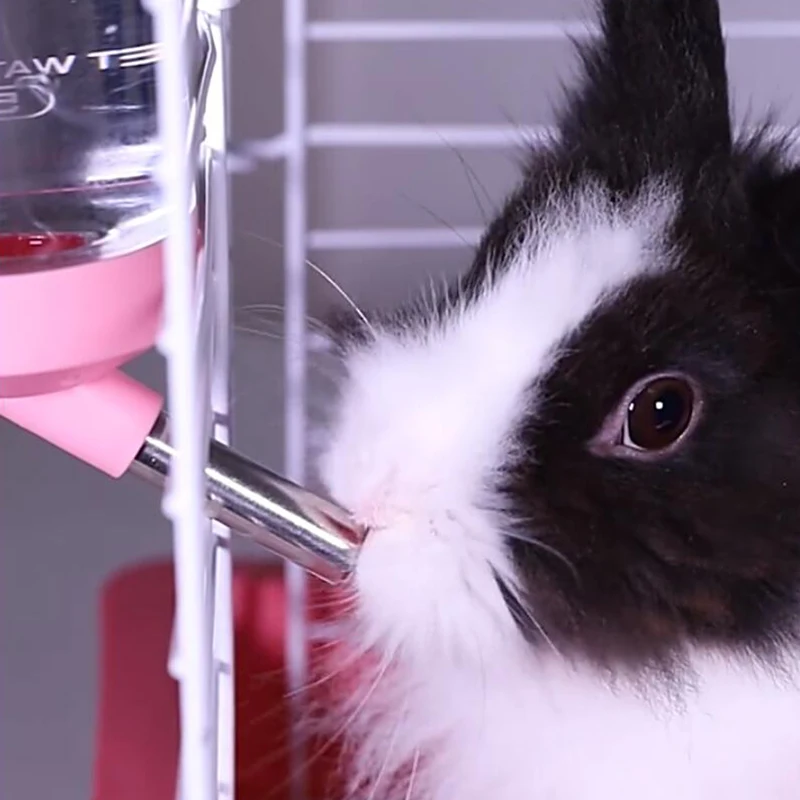 Bebedero automático para hámster, botella de agua de 400ml, dispositivo de alimentación para animales pequeños, suministros para mascotas - imagen 5