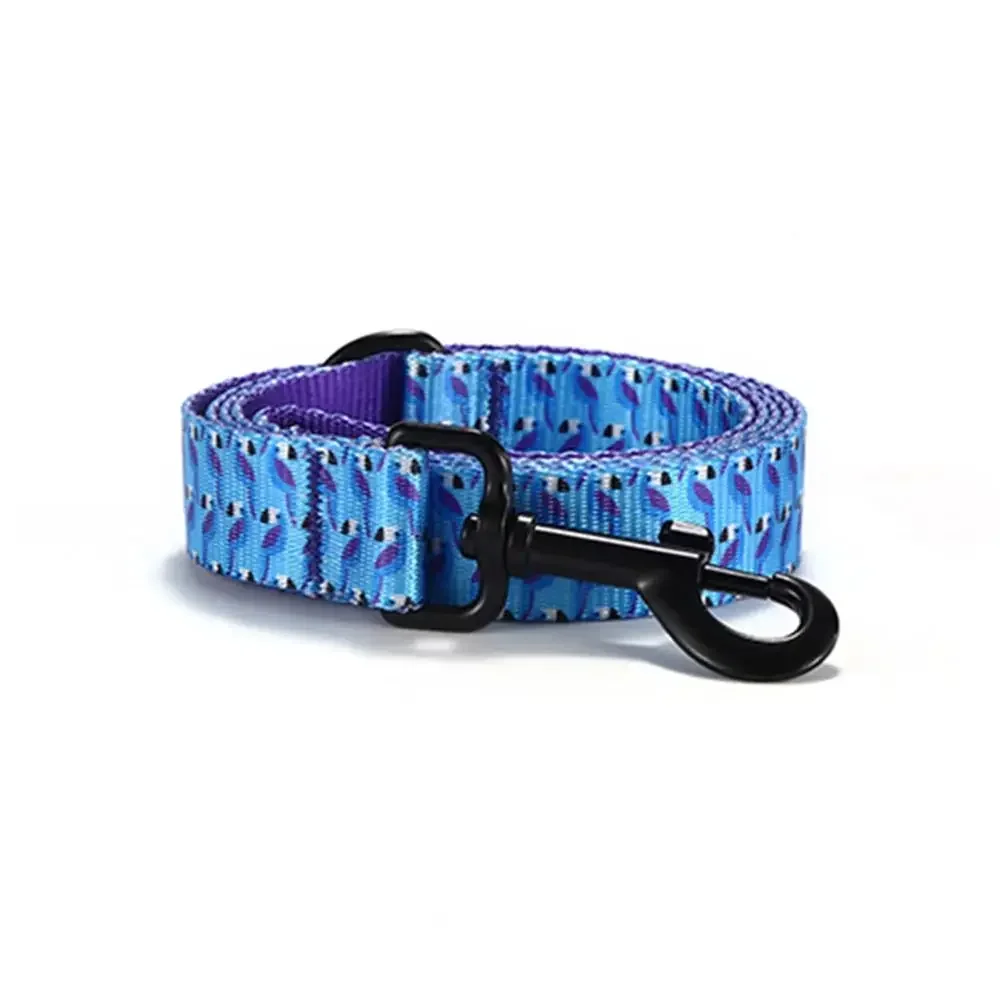 Collar de perro personalizado con grabado gratuito, correa para mascotas a juego, hebilla de contactos personalizados, Collar para mascota de gato loro azul - imagen 3