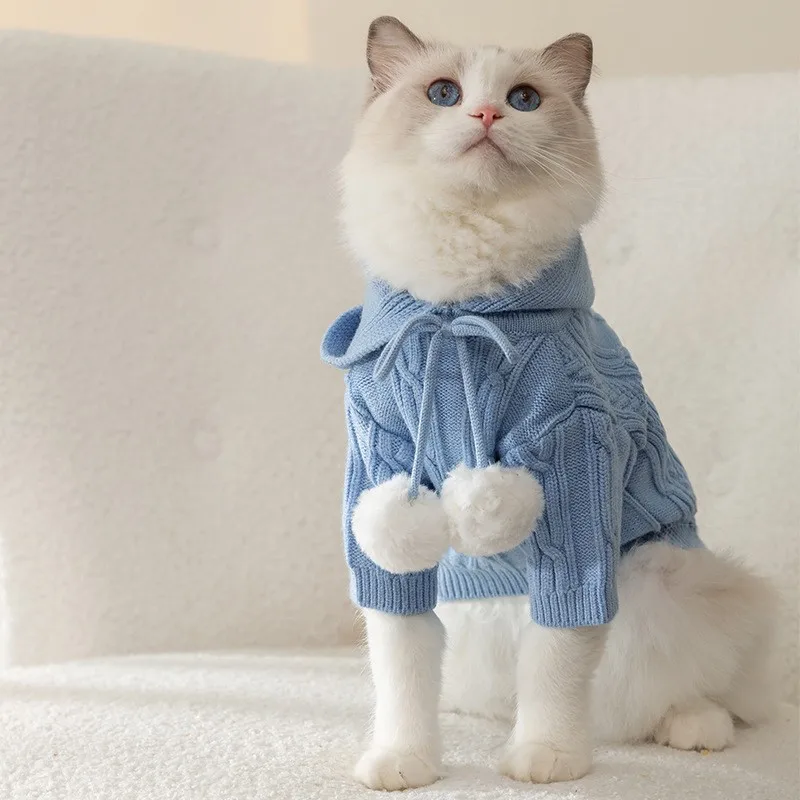 Blue hooded hairball