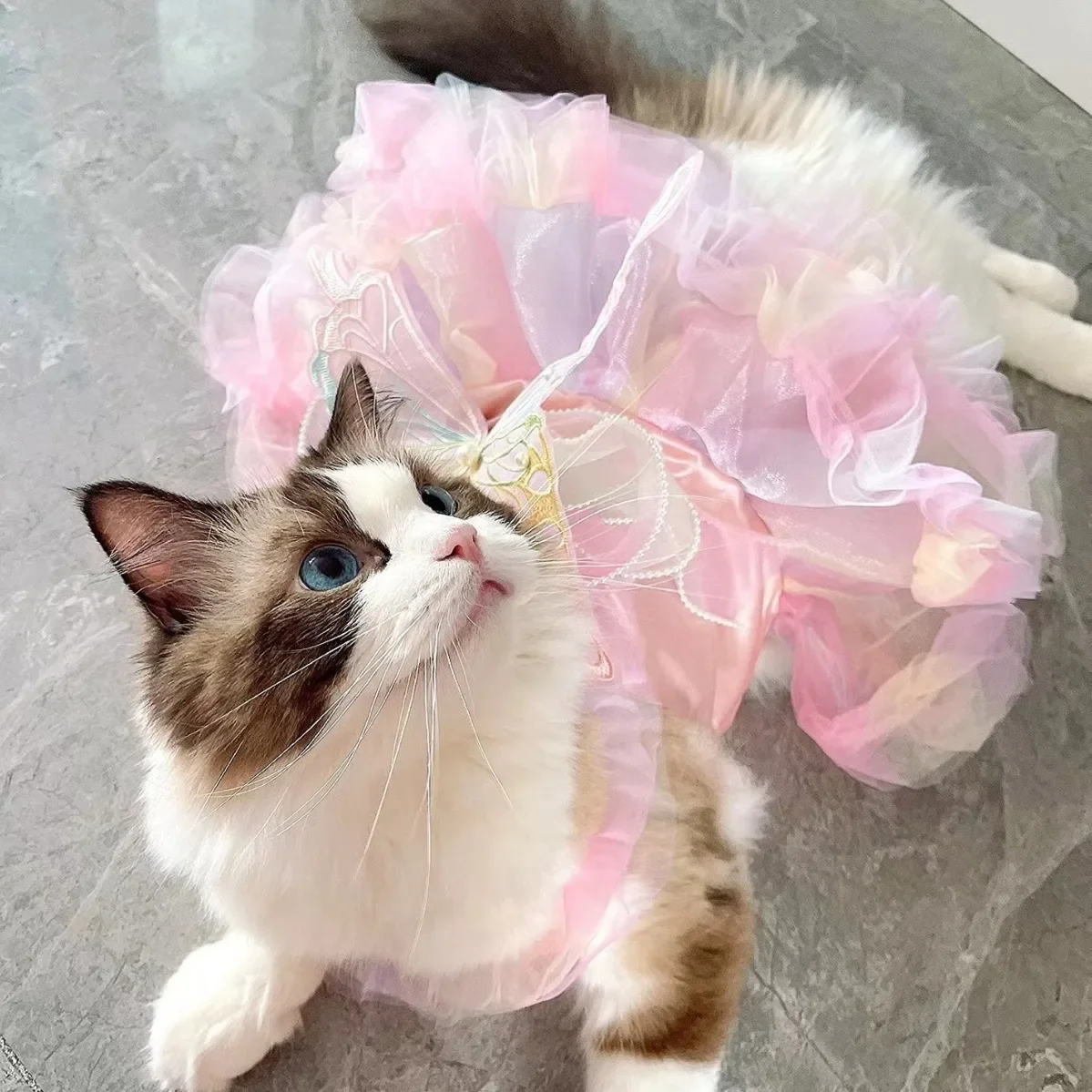 Perro gato primavera vestido de princesa falda de encaje ropa para mascotas falda a rayas cachorro princesa ropa lindo cachorro ropa para gatos mascota - imagen 4