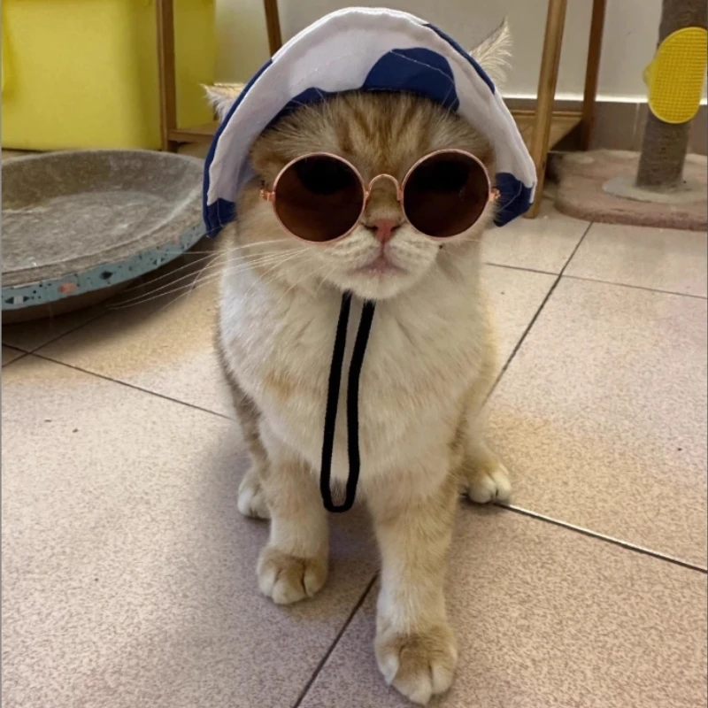 Gafas de sol redondas vintage para gatos, gafas para perros y gatitos pequeños, gafas reflectantes retro, accesorios geniales para cachorros y gatitos