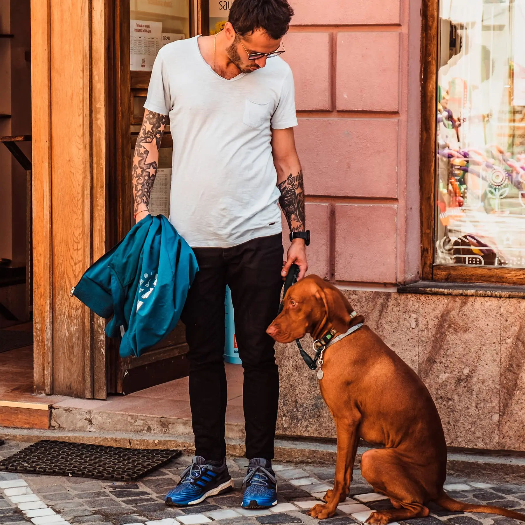 Correa para perros de entrenamiento de poliamida resistente con rayas reflectantes - Clip de liberación rápida de rana táctica, mecanismo de bloqueo para pequeños, - imagen 2