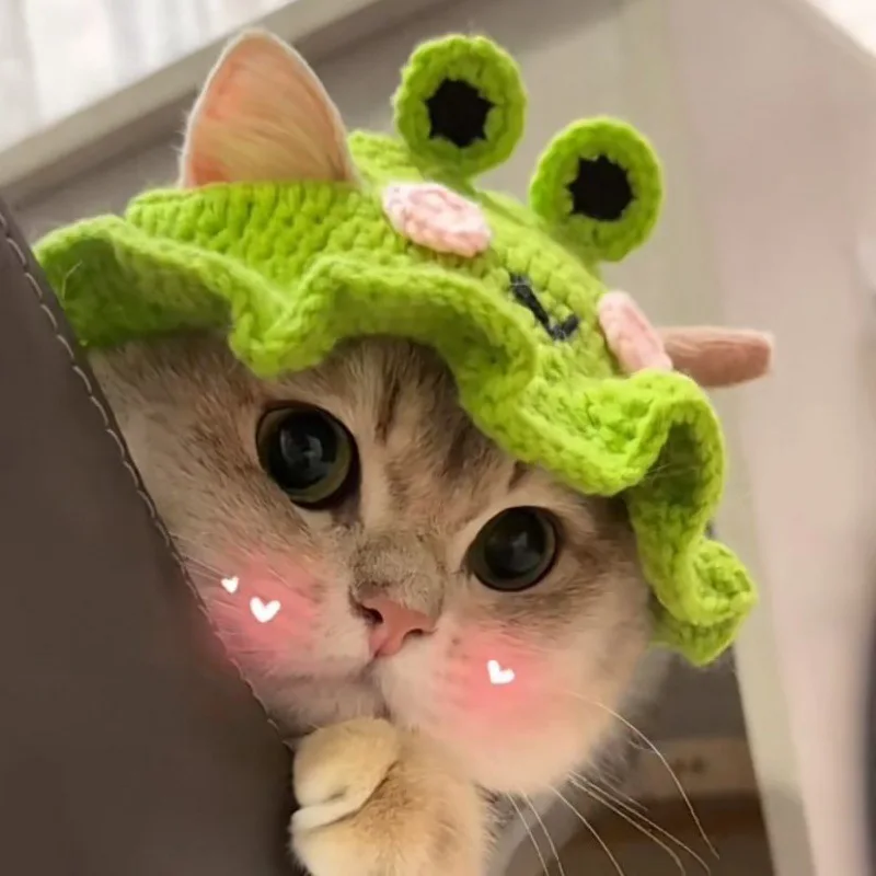 Gorro de gato hecho a mano, gorro tejido elástico, gorro para mascotas, gorros para cachorros y gatitos, gorro tejido, accesorios para sesión de fotos de fiesta, decoración, accesorios para gatos - imagen 5