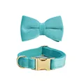 Bow Collar