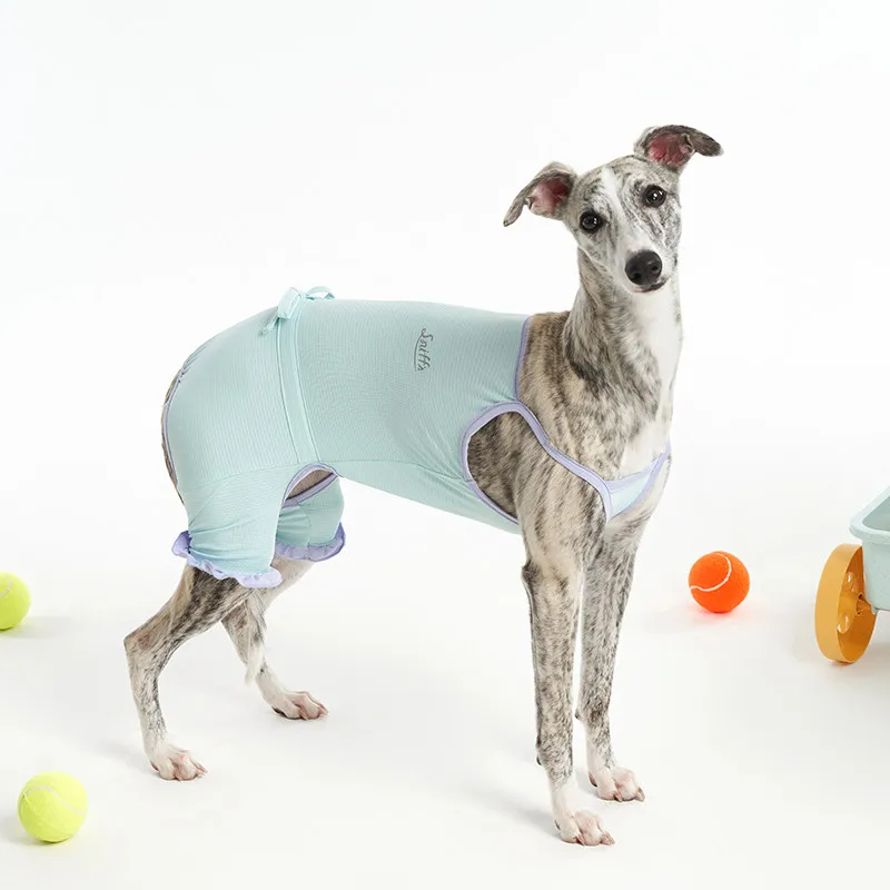 Chaleco UV ligero para galgo y whippet – Protección solar verano