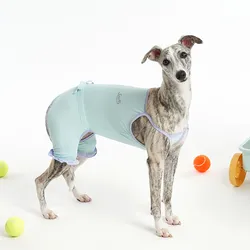 Chaleco UV ligero para galgo y whippet – Protección solar verano