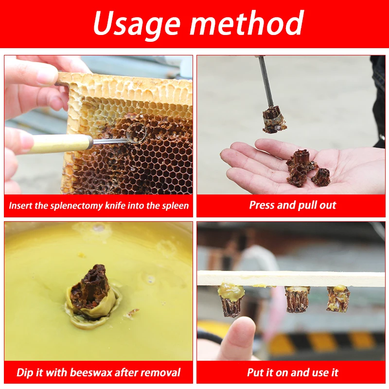 Apicultura sin injerto Kit de cría de reina peine cortador de base, cortador de marco de reina herramienta de corte Extractor equipo de apicultura - imagen 2
