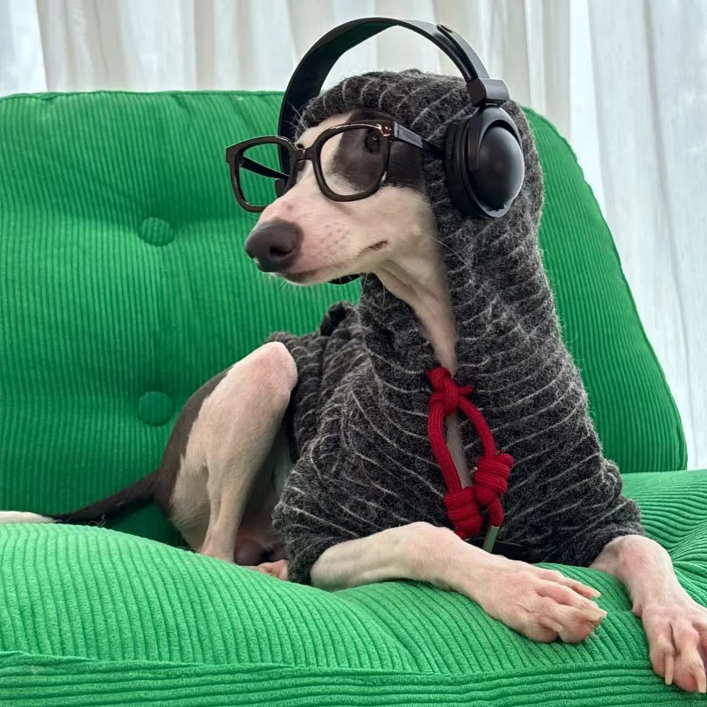 Sudadera con capucha a rayas para galgo italiano, abrigo cálido de otoño e invierno, disfraz de manga larga para perros pequeños Whippet - imagen 2