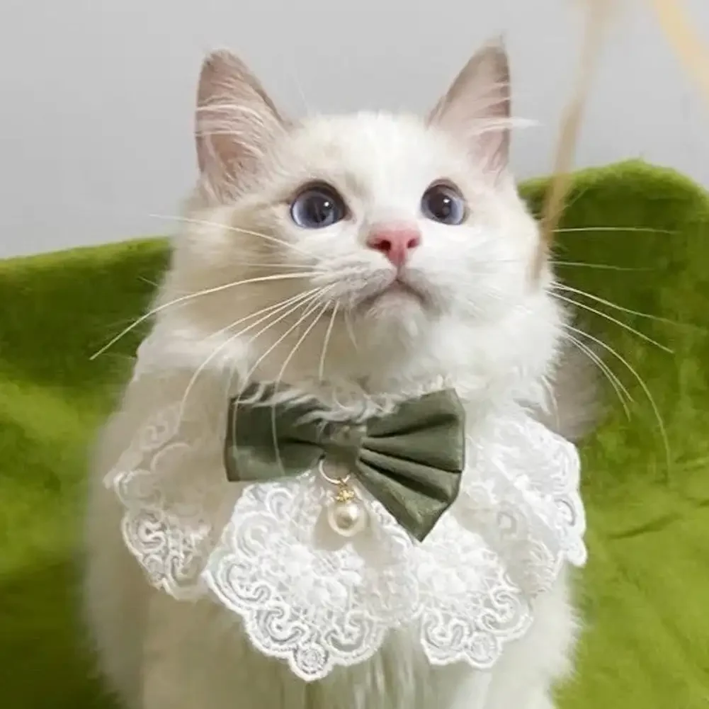 Collar de perlas con lazo de encaje, pañuelo para perro y gato, gatos, gatitos, perros, cachorros, babero, Collar, corbata, correa para el cuello, accesorios para bufanda - imagen 4