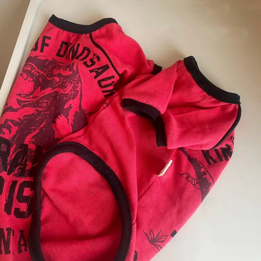 Abrigo de algodón con alfabeto azul para gato masculino en otoño, sudadera de manga larga con dibujos animados para gato Sphynx, camiseta de primavera para perros Devon - imagen 5