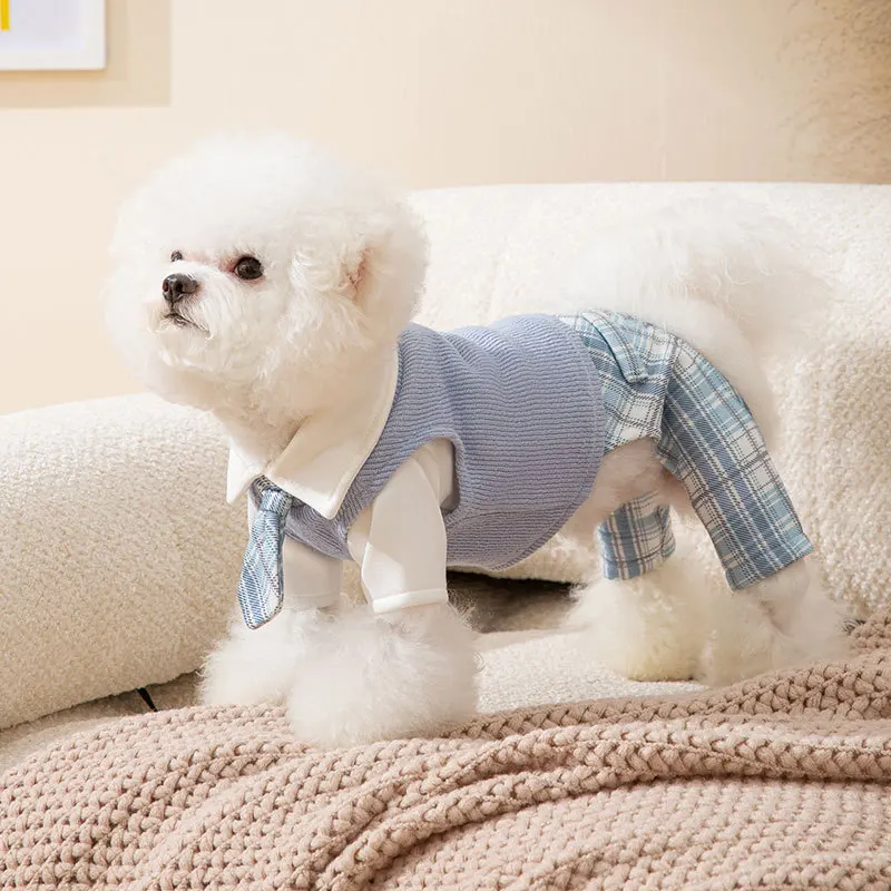 Vestido a cuadros para mascotas de otoño e invierno, conjunto para parejas universitarias, oso de peluche, traje de cuatro patas, mono para gatos, ropa para mascotas, ropa para cachorros de invierno - imagen 4