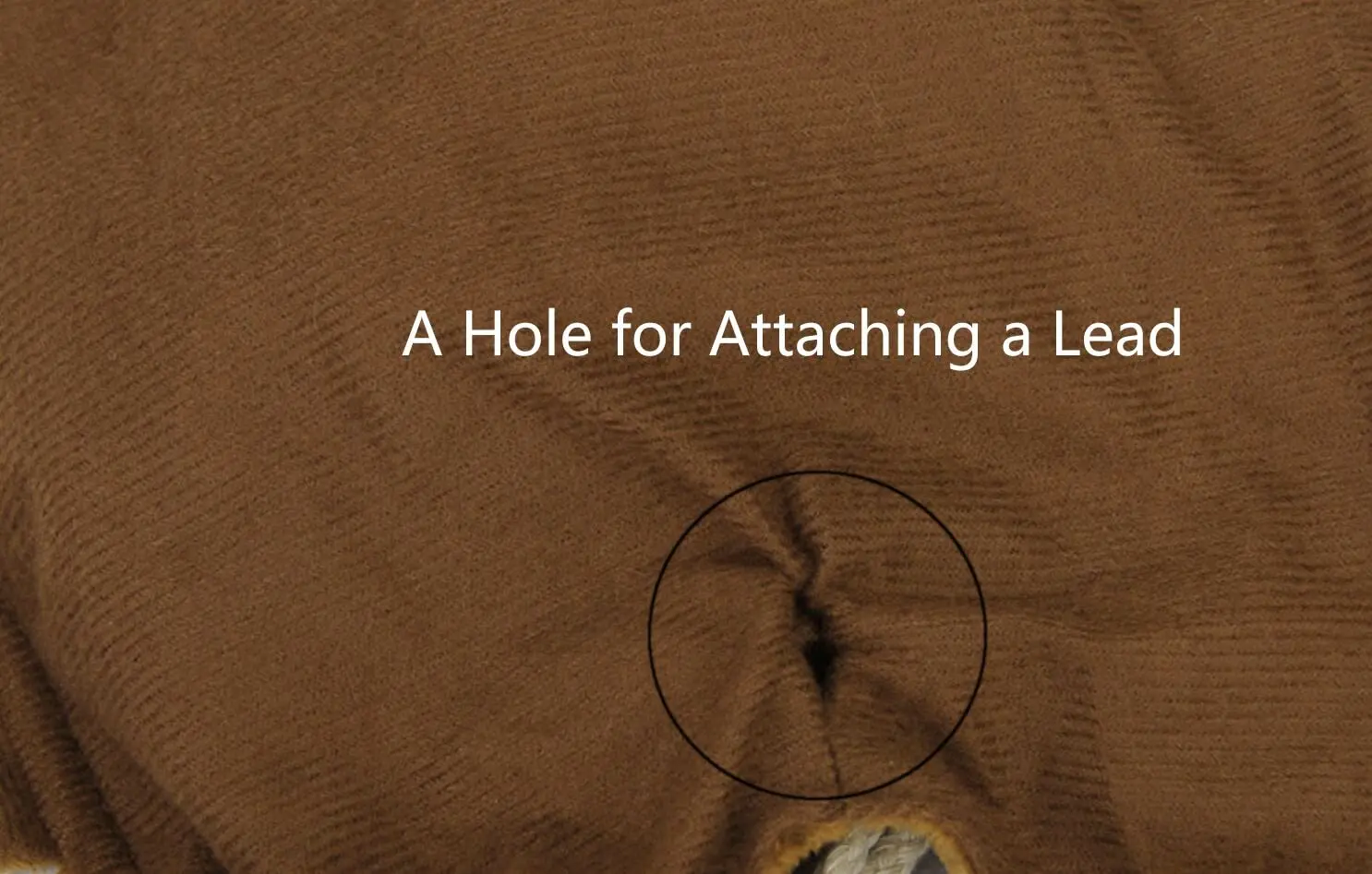 Disfraz vaquero para perros pequeños y medianos - imagen 4