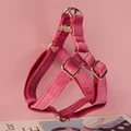 dog harness(Silver)