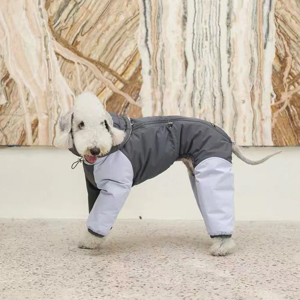Abrigo invierno para perros pequeños – Chaqueta galgo italiano - imagen 5