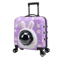 Purple rabbit