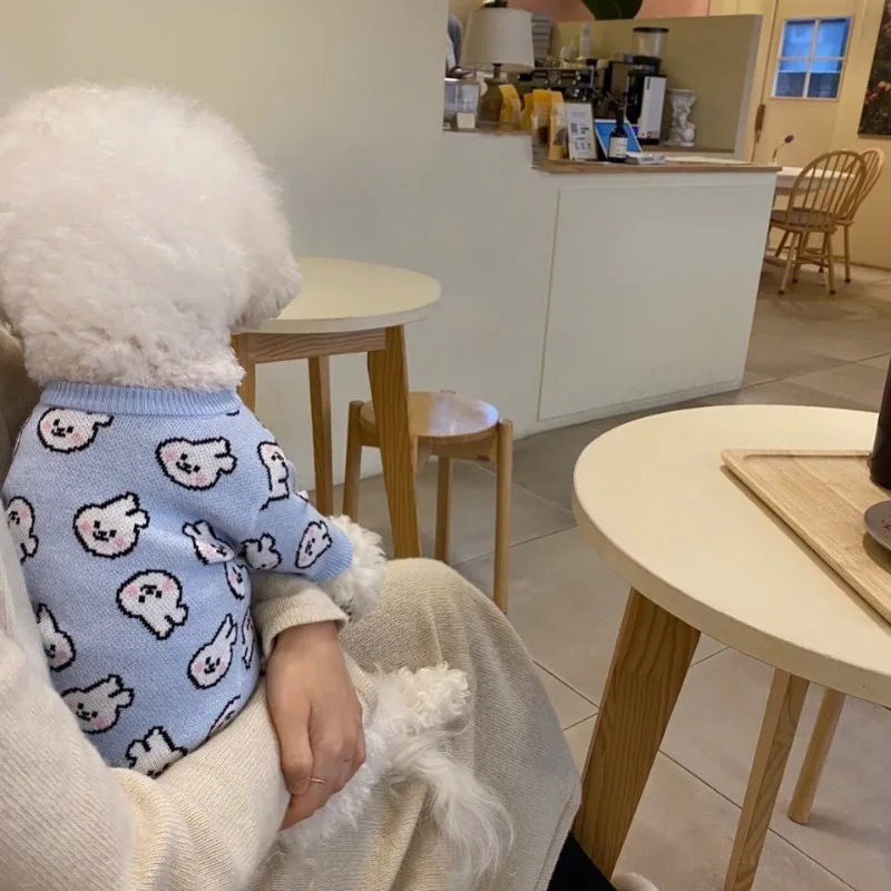Invierno cálido lindo conejo azul ropa para perros mascota suéter cálido Teddy camisa de punto perro dos piernas ropa suministros para mascotas XS-XL - imagen 2