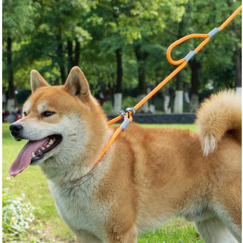 Cuerda P de una pieza para perro, Correa ligera para caminar al aire libre, ajustable, colores Macaron, duradera, de tracción, antideslizante - imagen 3