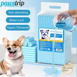 Pañal absorbente reutilizable para entrenamiento de perros y gatos