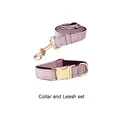 collar and leash set