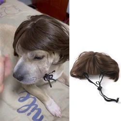 Pelucas cosplay para perros y gatos – Accesorios divertidos para fotos