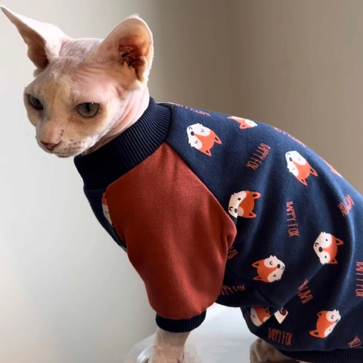 Camiseta elástica para gato Sphynx y Devon Rex en azul-rojo - imagen 2