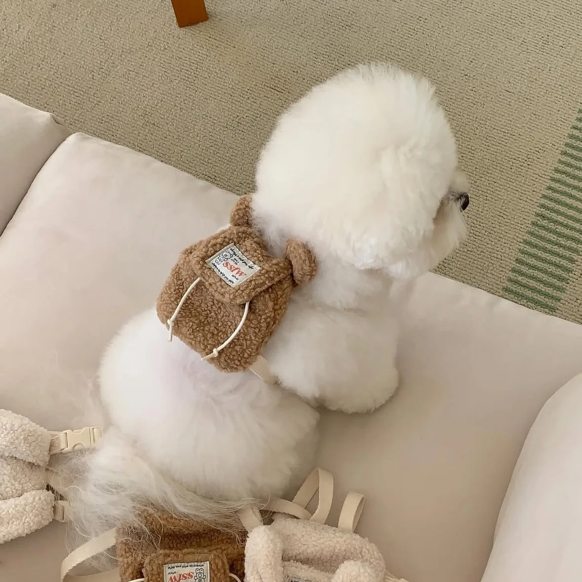 Mochila de felpa bonita Ins para salida de mascotas, portador multiusos para cachorros, perros pequeños y gatos, con bolsa para recoger caca, bolsillos para aperitivos, suministros para mascotas - imagen 3