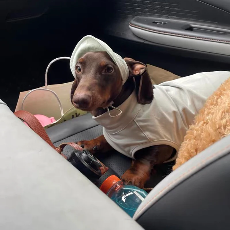 Camiseta de verano para perro Wiener, ropa, chaleco de manga corta gris suave para perro tejón, abrigo de tela fresco para perro salchicha en primavera - imagen 2