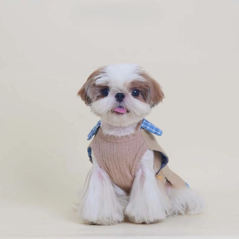 Vestido a cuadros de otoño/invierno para mascotas, bonito rompevientos Schnauzer, abrigo para perros pequeños, vestidos para perros pequeños, ropa para cachorros - imagen 2