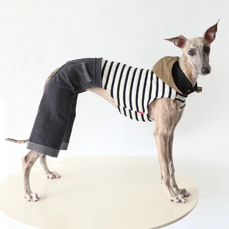 Chaqueta rayada para Galgos y Whippets – Abrigo Primavera/Otoño - imagen 3