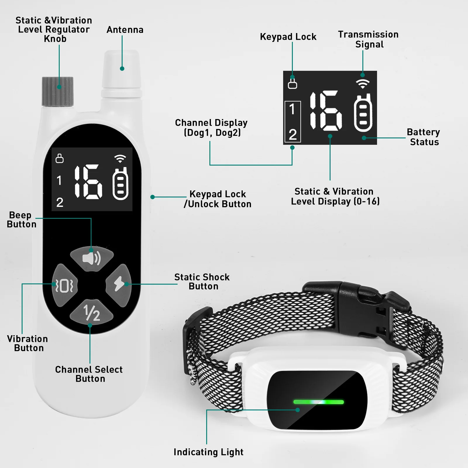 Collar de adiestramiento para perros con control remoto y pantalla - imagen 4