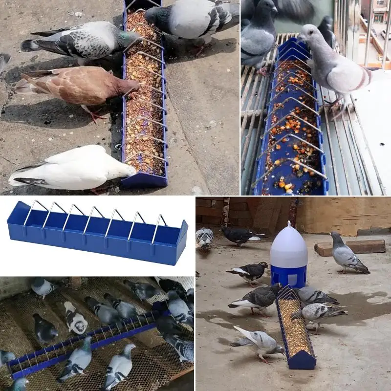 Alimentador de aves de corral con palomas, comedero de 40cm para palomas, pollo, codorniz, loro, pavo real, suministros para palomas - imagen 3