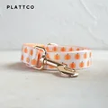 Dog Leash