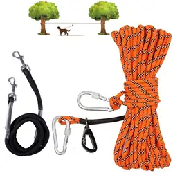 Correa de seguridad para perros – Ideal para camping y montaña