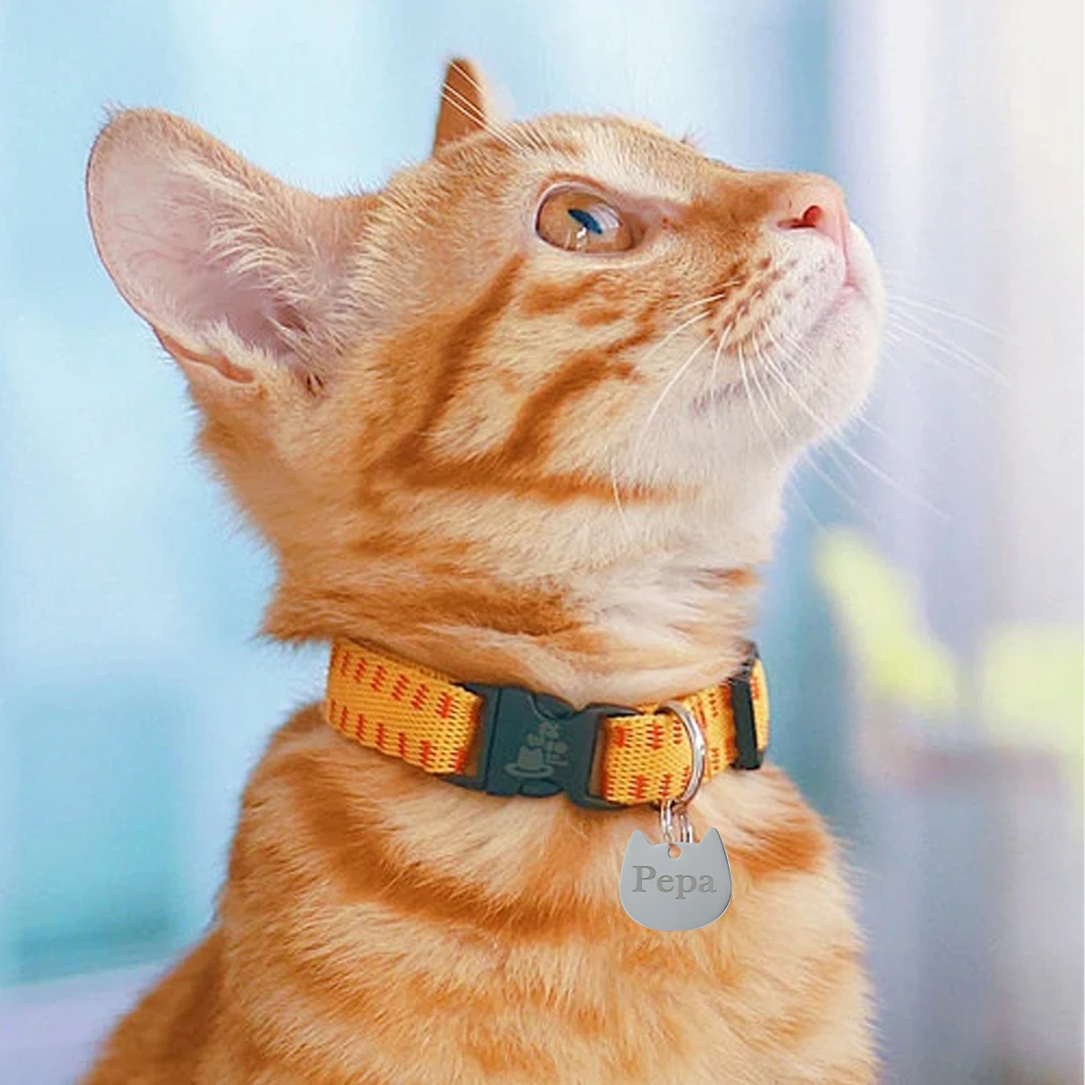 Etiqueta de identificacion grabada para gato - Colgante antiperdida - imagen 5
