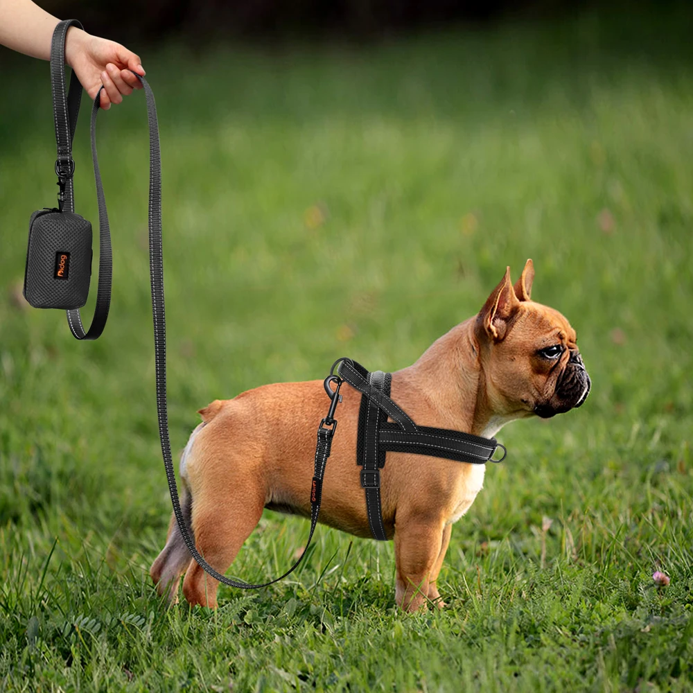 Arnés reflectante sin tirones para perro, chaleco de nailon acolchado y transpirable para caminar, para cachorros, perros pequeños, medianos y grandes, Pug Pitbull - imagen 5