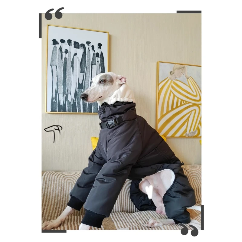 Ropa impermeable para perros, accesorios de ropa para perros grandes de invierno, monos para perros con sombrero, abrigo cálido ajustable para perros, suministros de productos - imagen 2