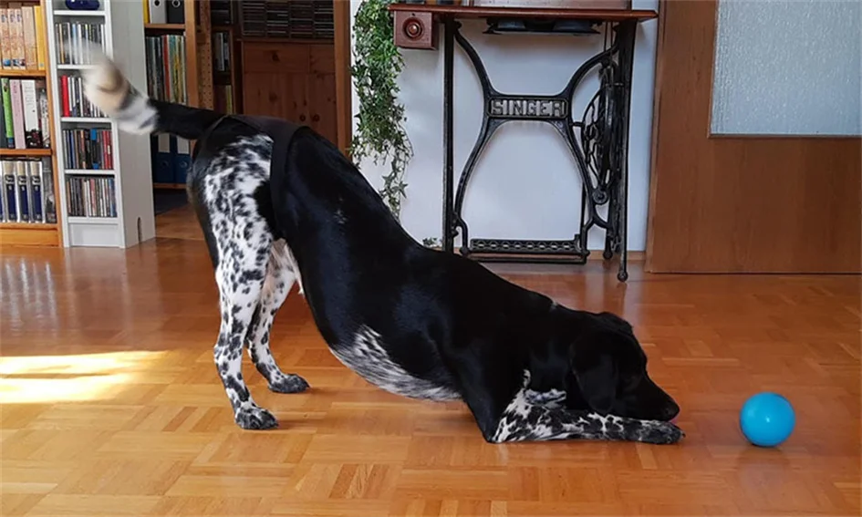 Bordes elásticos suaves - Comfort garantizado