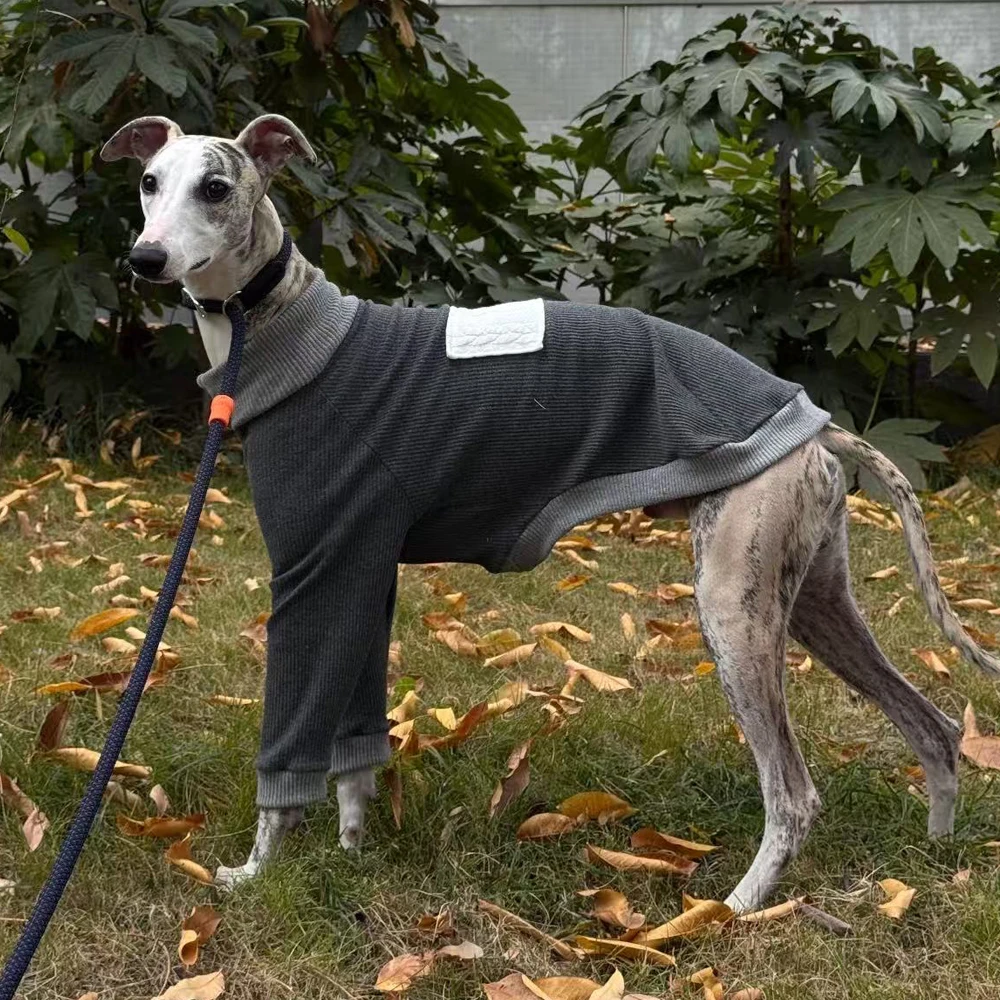 Camiseta gris de algodon cuello alto para perros galgo y Whippet - imagen 3