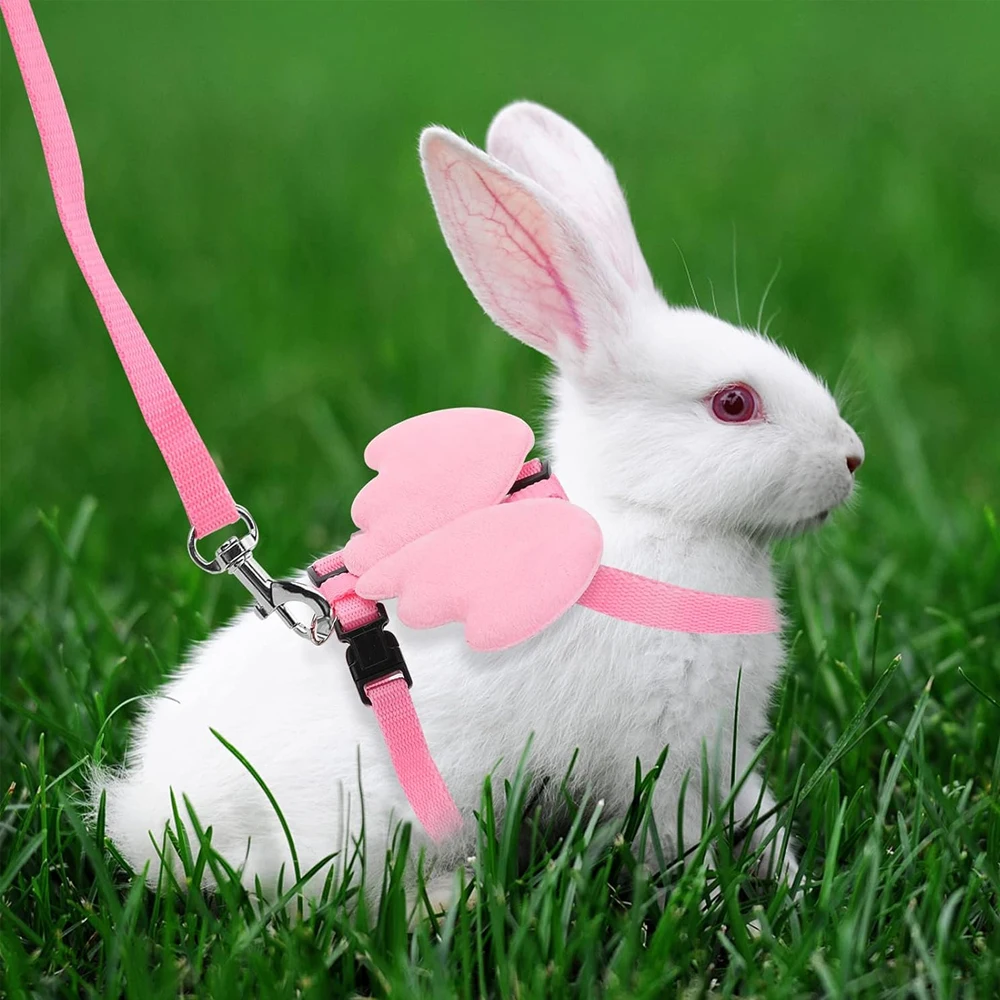 1 Juego de arnés y correa para conejos y gatos con alas de Ángel, accesorios personalizados para conejos, ropa para hámster