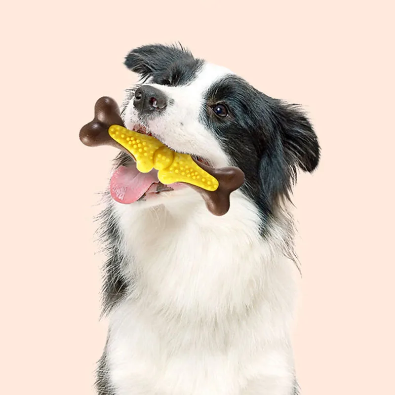 Hueso juguete para perros: limpia dientes y alivia aburrimiento